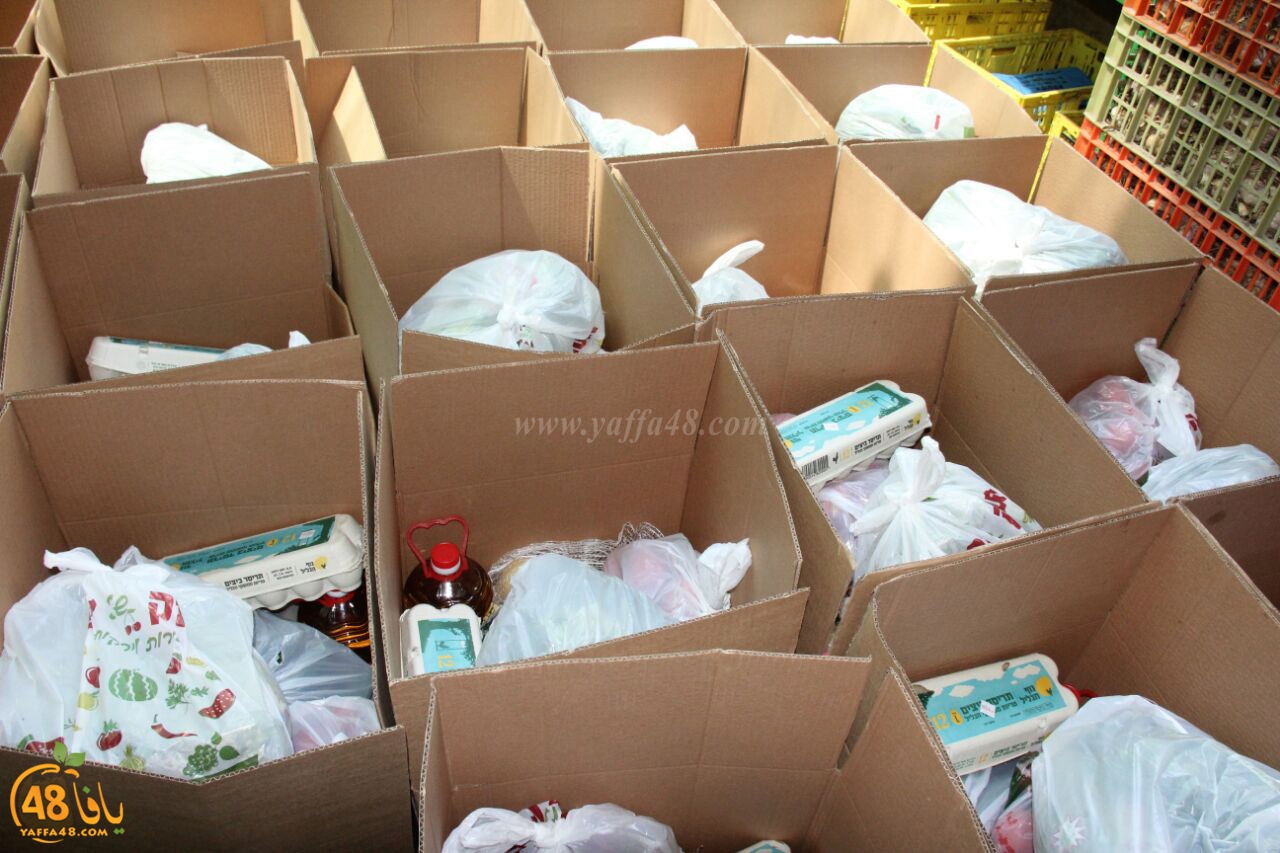 torody second marl7ala (2).jpg